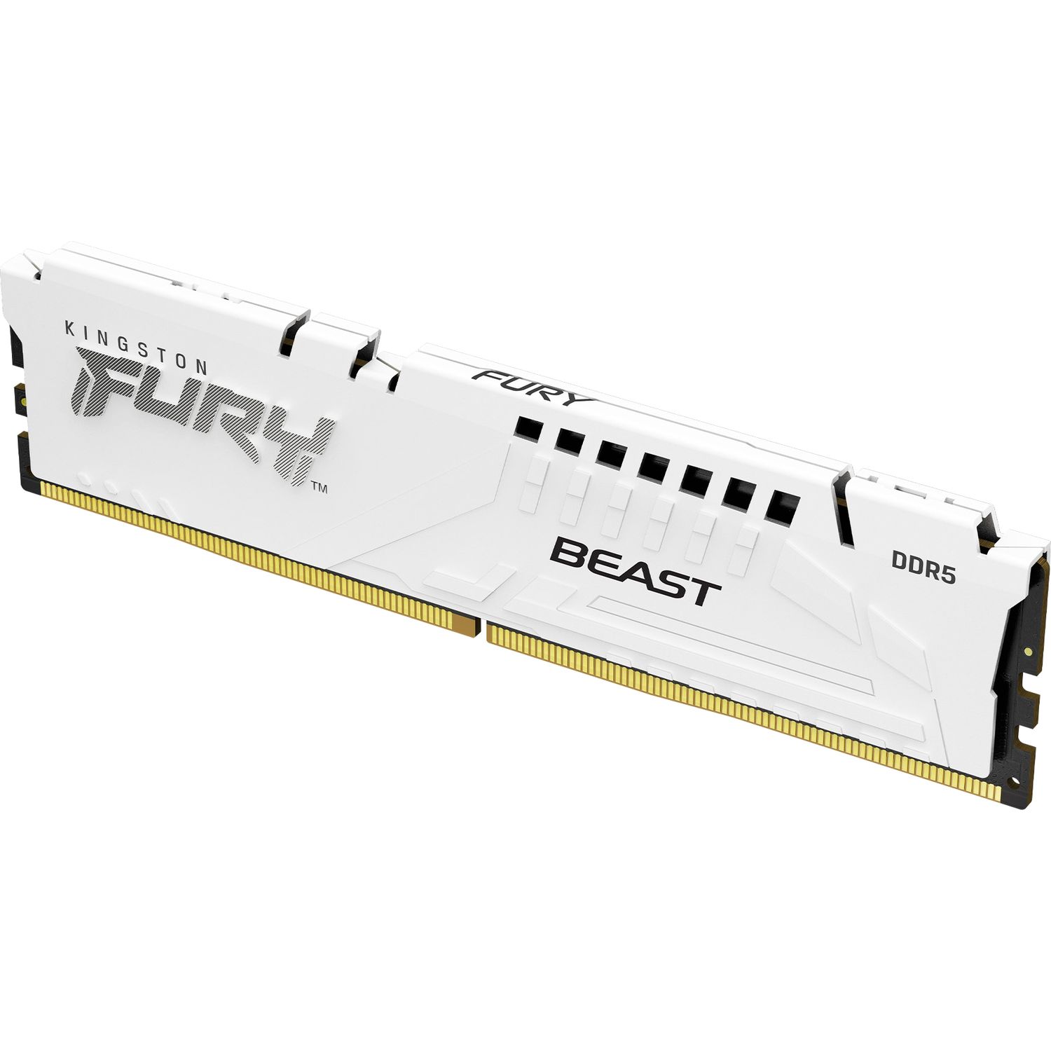 Память оперативная Kingston FURY Beast KF560C30BWE-32
